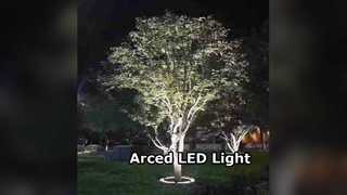 Luz subterránea LED de arco RGB DMX DALI