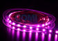 El color rosado 25000K, 12/24 voltios de 5050 del LED luces de tira llevó tiras ligeras 12m m FPC