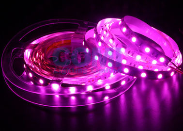 El color rosado 25000K, 12/24 voltios de 5050 del LED luces de tira llevó tiras ligeras 12m m FPC